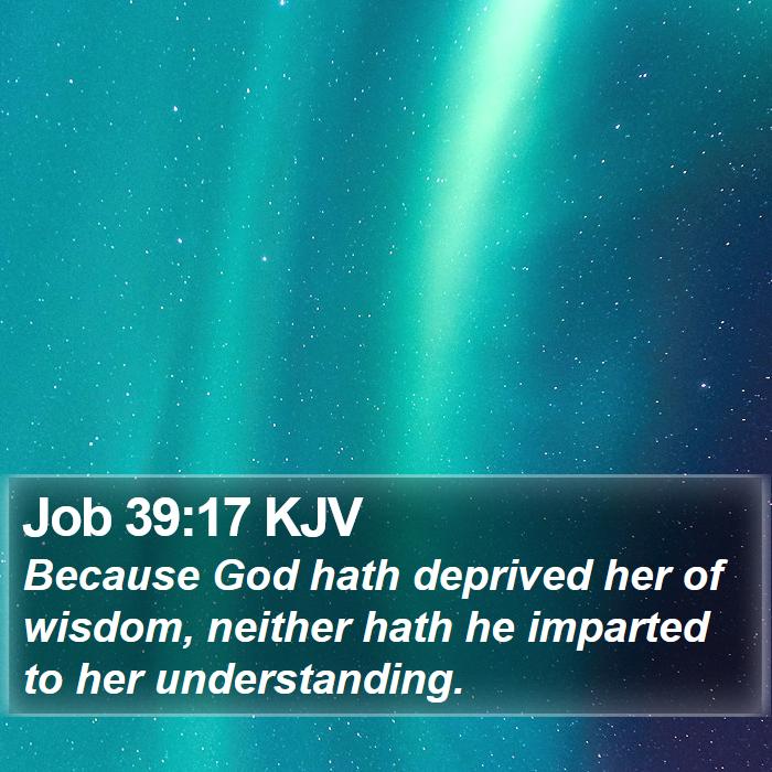 Job 39:17 KJV Bible Study