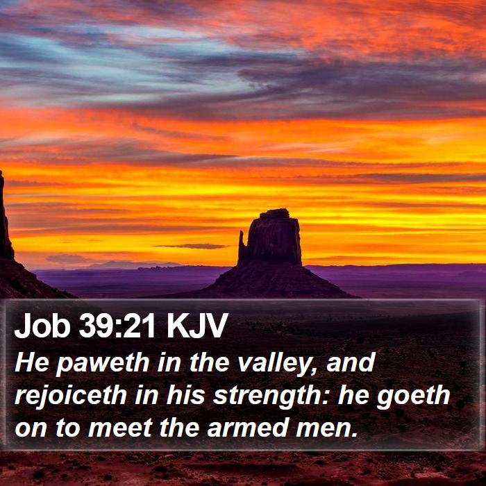 Job 39:21 KJV Bible Study