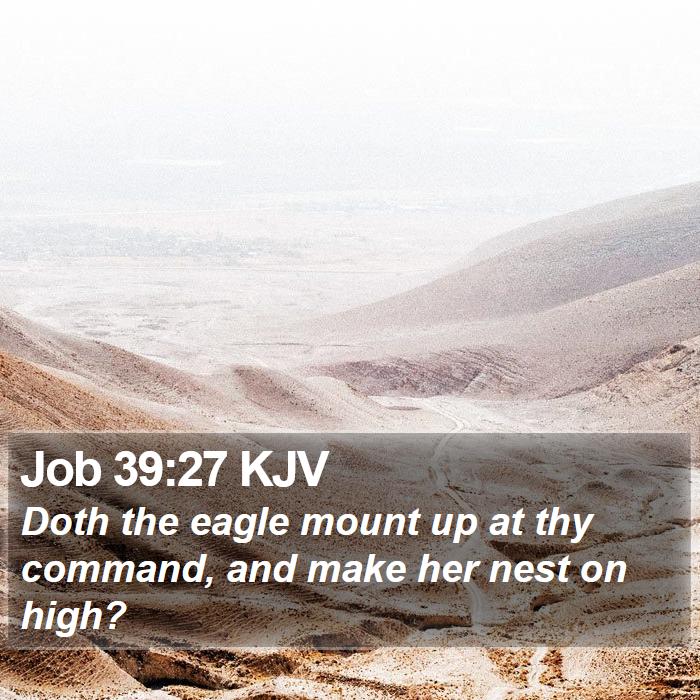 Job 39:27 KJV Bible Study