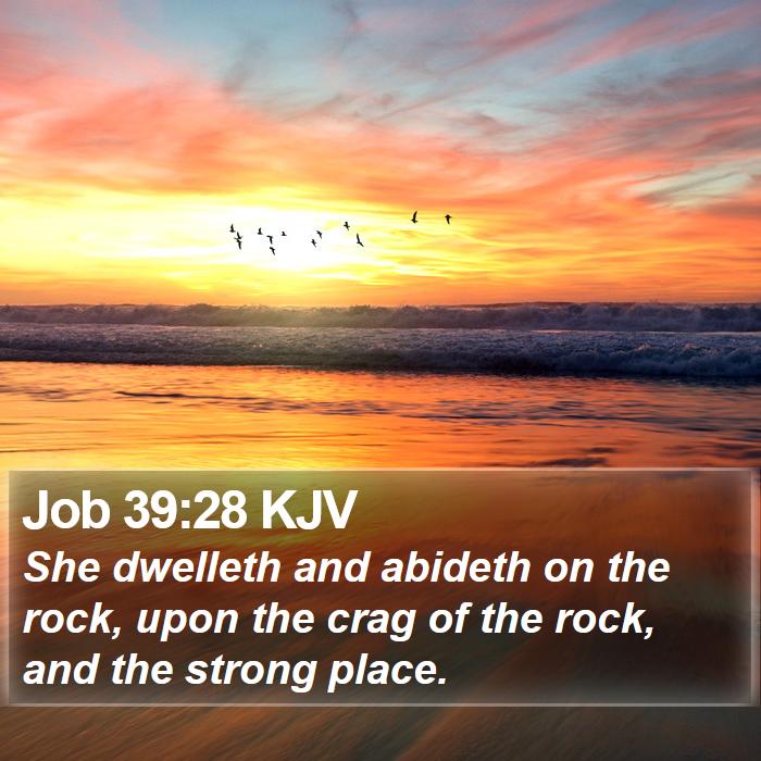 Job 39:28 KJV Bible Study