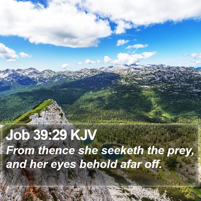 Job 39:29 KJV Bible Study