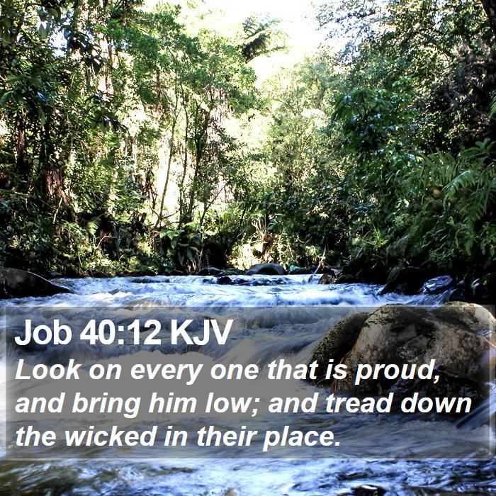 Job 40:12 KJV Bible Study