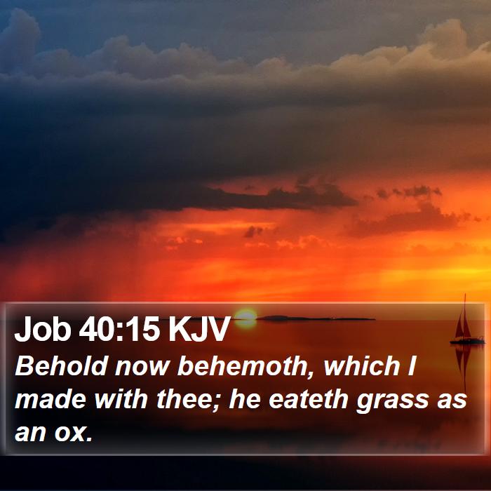 Job 40:15 KJV Bible Study