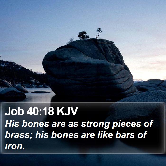 Job 40:18 KJV Bible Study