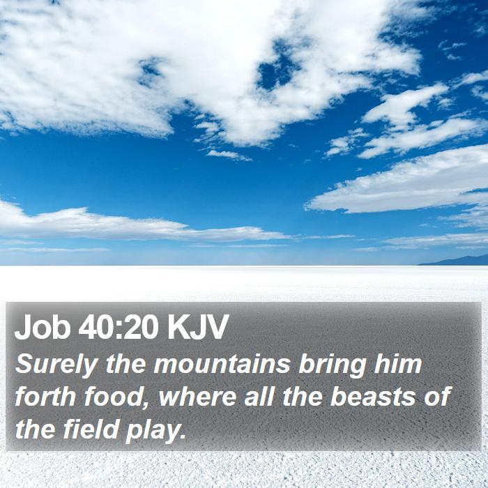 Job 40:20 KJV Bible Study