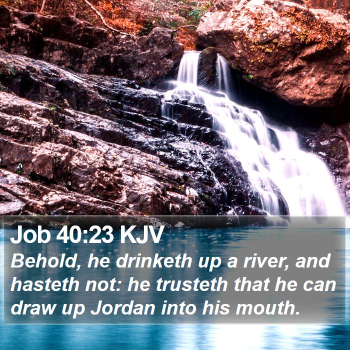 Job 40:23 KJV Bible Study