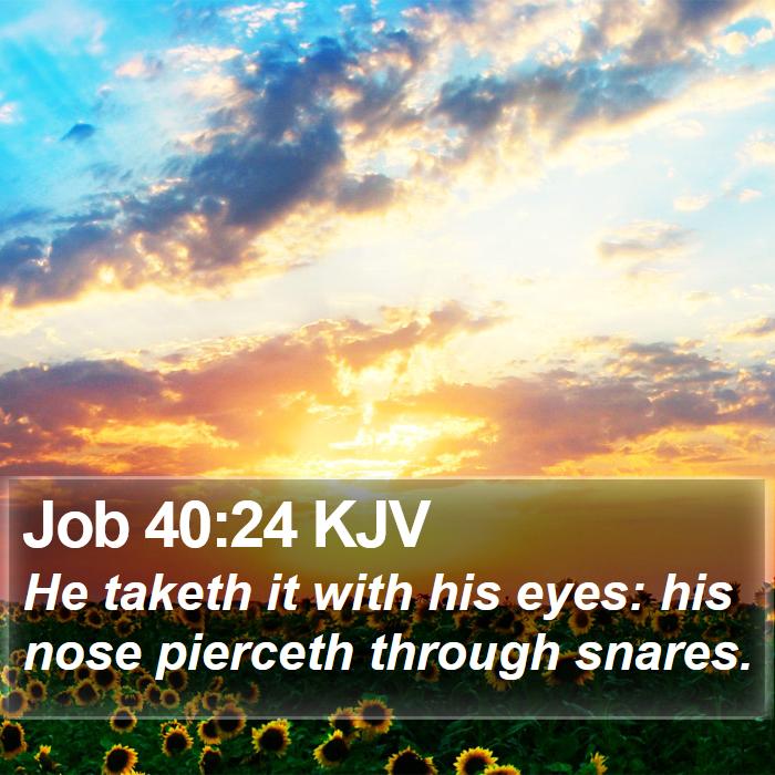 Job 40:24 KJV Bible Study