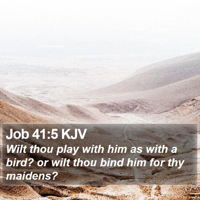 Job 41:5 KJV Bible Study