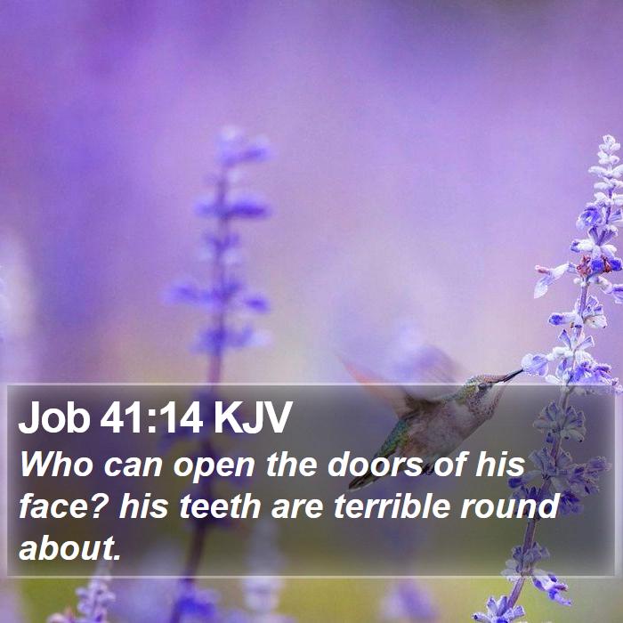 Job 41:14 KJV Bible Study