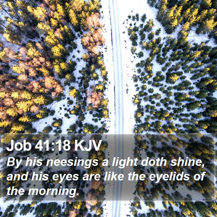 Job 41:18 KJV Bible Study