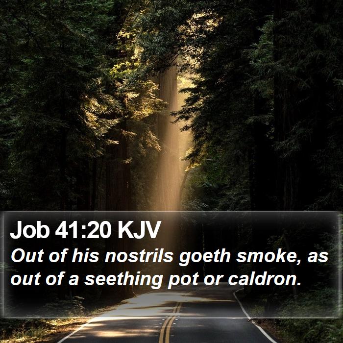 Job 41:20 KJV Bible Study