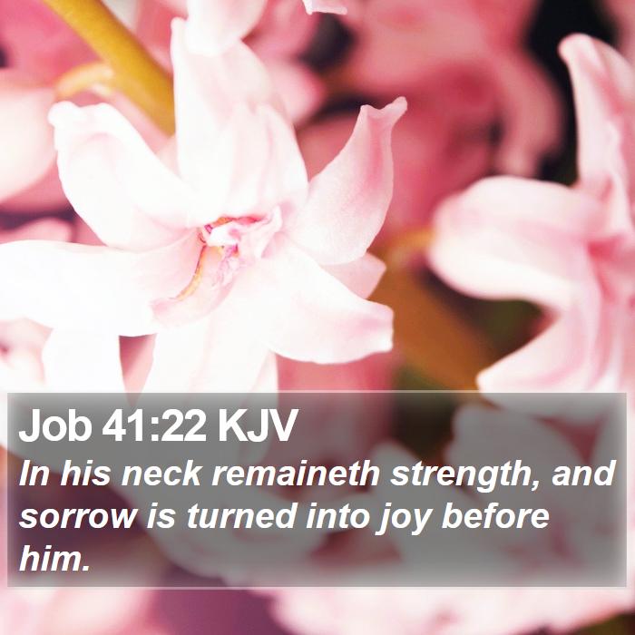 Job 41:22 KJV Bible Study