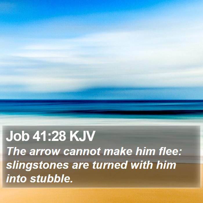 Job 41:28 KJV Bible Study