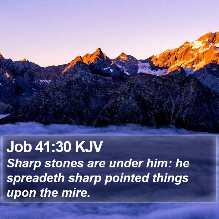 Job 41:30 KJV Bible Study