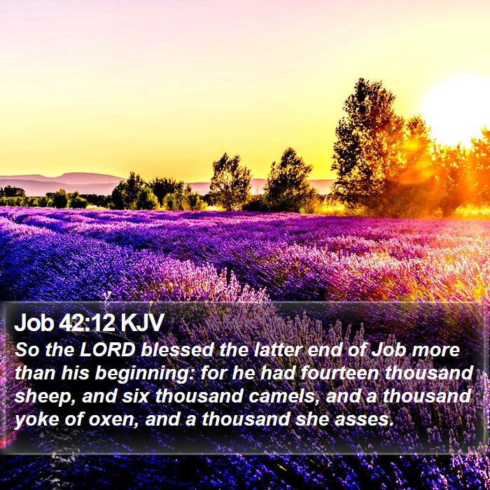 Job 42:12 KJV Bible Study