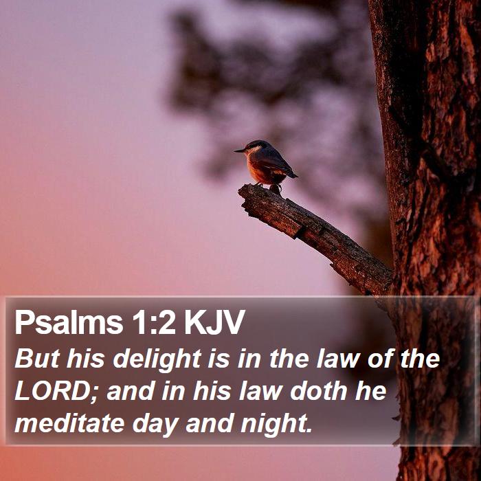 Psalms 1:2 KJV Bible Study