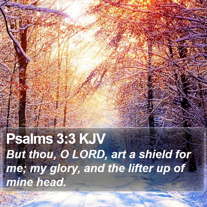 Psalms 3:3 KJV Bible Study