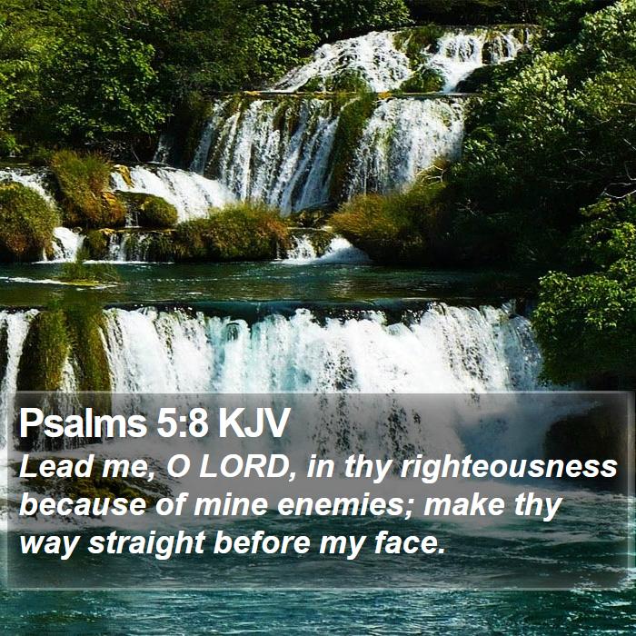 Psalms 5:8 KJV Bible Study