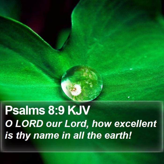 Psalms 8:9 KJV Bible Study