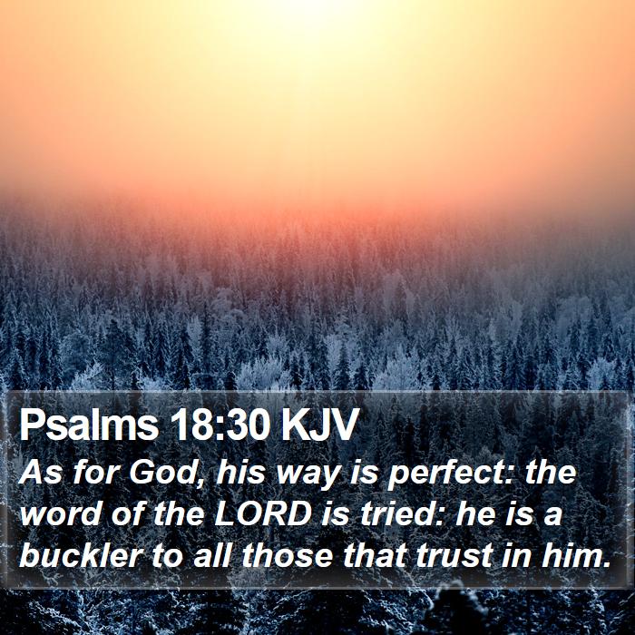 Psalms 18:30 KJV Bible Study