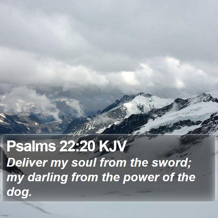 Psalms 22:20 KJV Bible Study