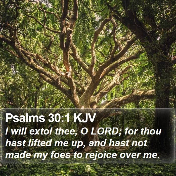 Psalms 30:1 KJV Bible Study