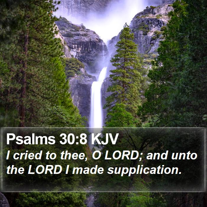 Psalms 30:8 KJV Bible Study