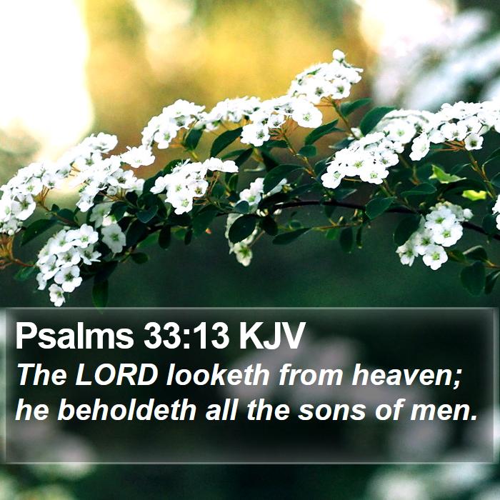 Psalms 33:13 KJV Bible Study