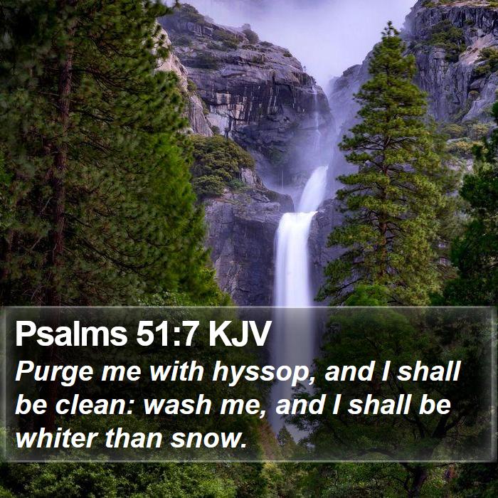 Psalms 51:7 KJV Bible Study