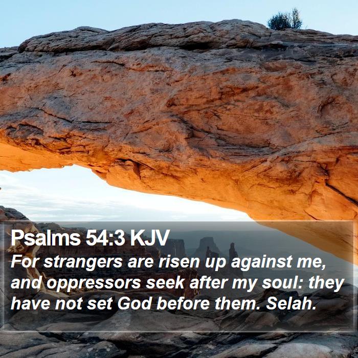 Psalms 54:3 KJV Bible Study