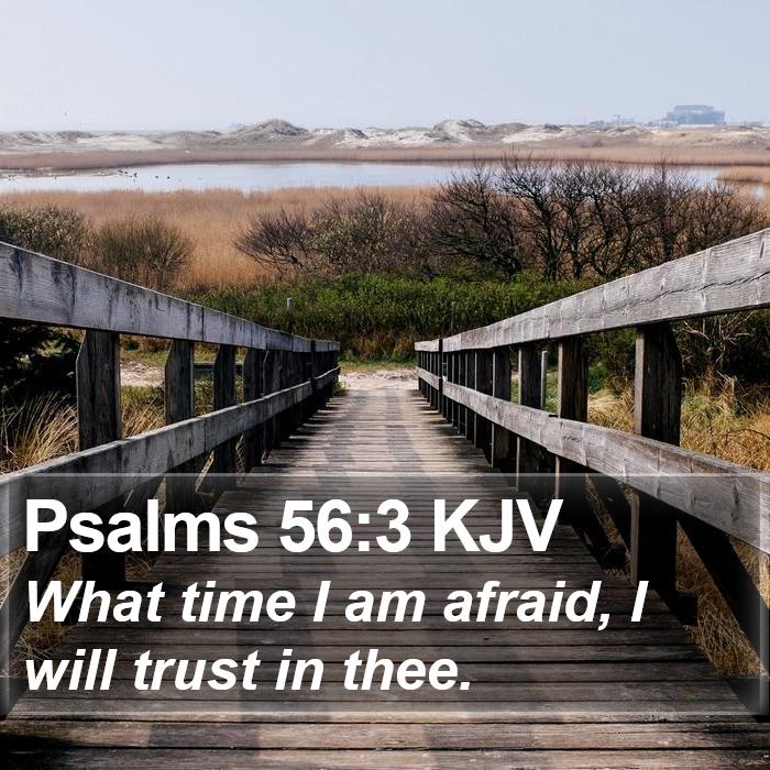 Psalms 56:3 KJV Bible Study