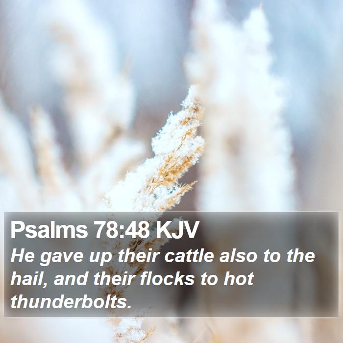 Psalms 78:48 KJV Bible Study