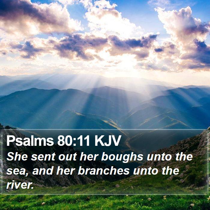 Psalms 80:11 KJV Bible Study