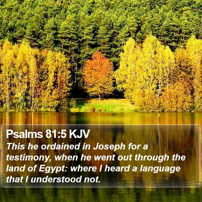 Psalms 81:5 KJV Bible Study