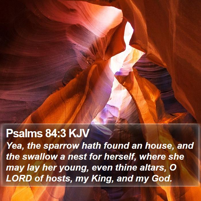 Psalms 84:3 KJV Bible Study