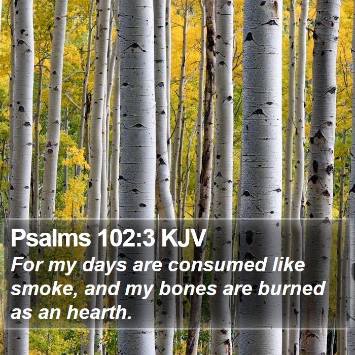 Psalms 102:3 KJV Bible Study