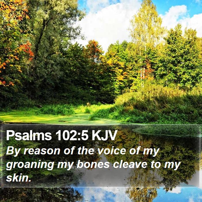 Psalms 102:5 KJV Bible Study