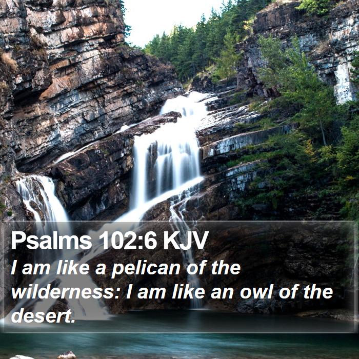 Psalms 102:6 KJV Bible Study