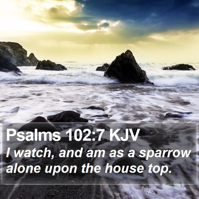 Psalms 102:7 KJV Bible Study