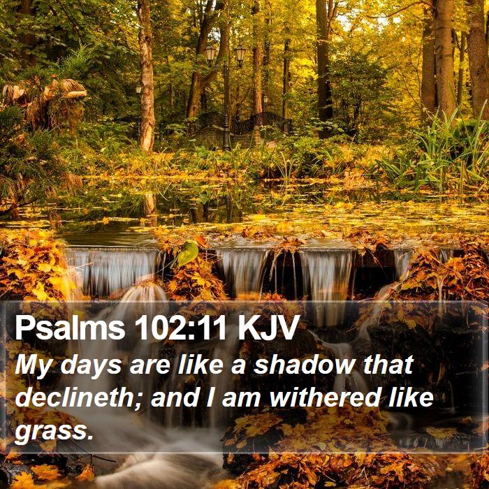 Psalms 102:11 KJV Bible Study