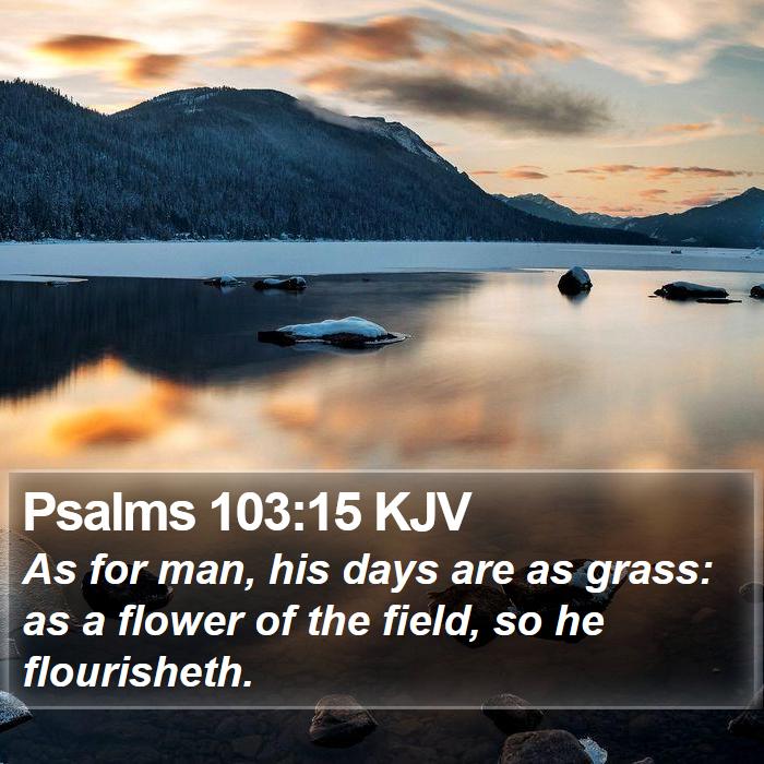 Psalms 103:15 KJV Bible Study