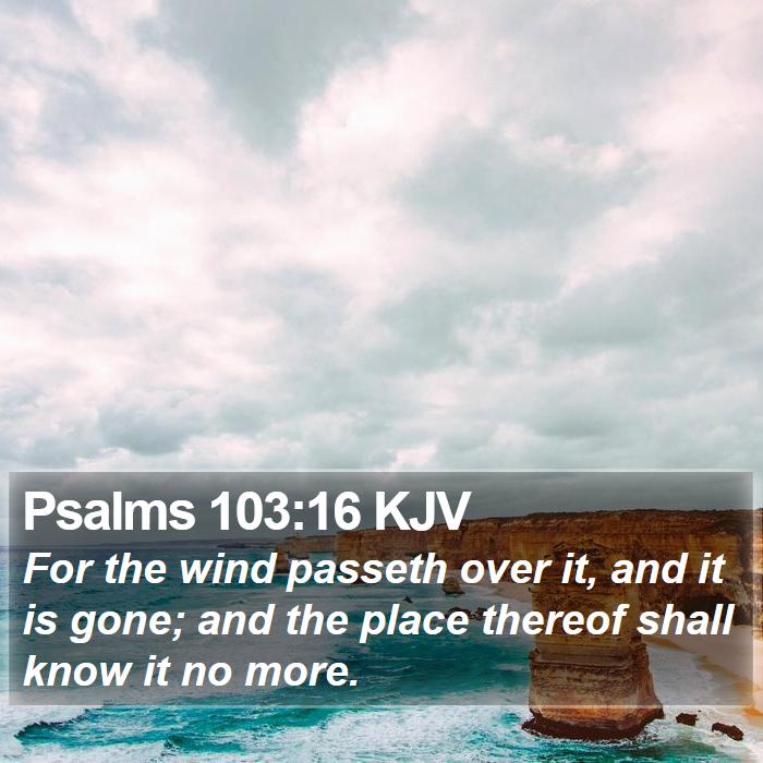 Psalms 103:16 KJV Bible Study