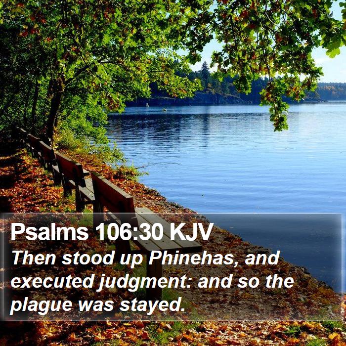 Psalms 106:30 KJV Bible Study