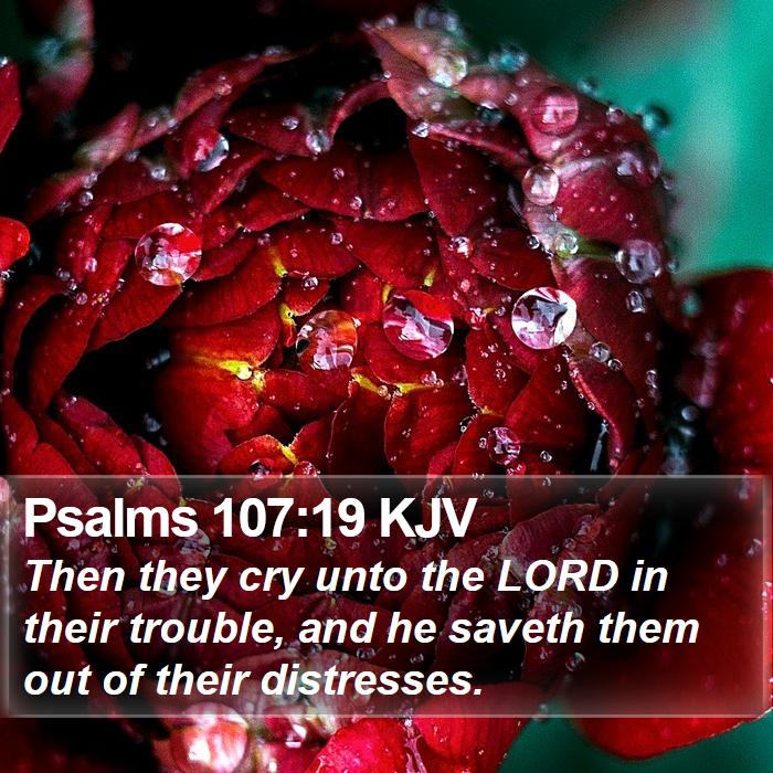 Psalms 107:19 KJV Bible Study