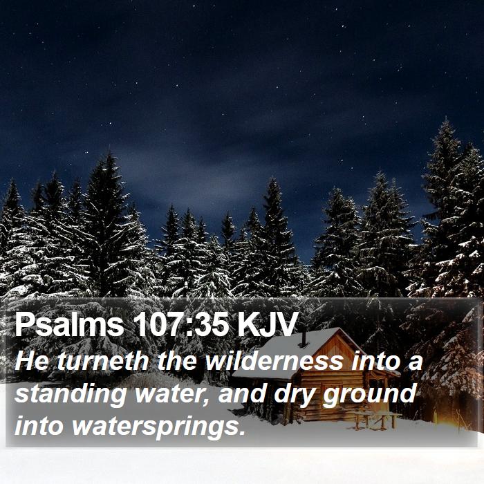 Psalms 107:35 KJV Bible Study