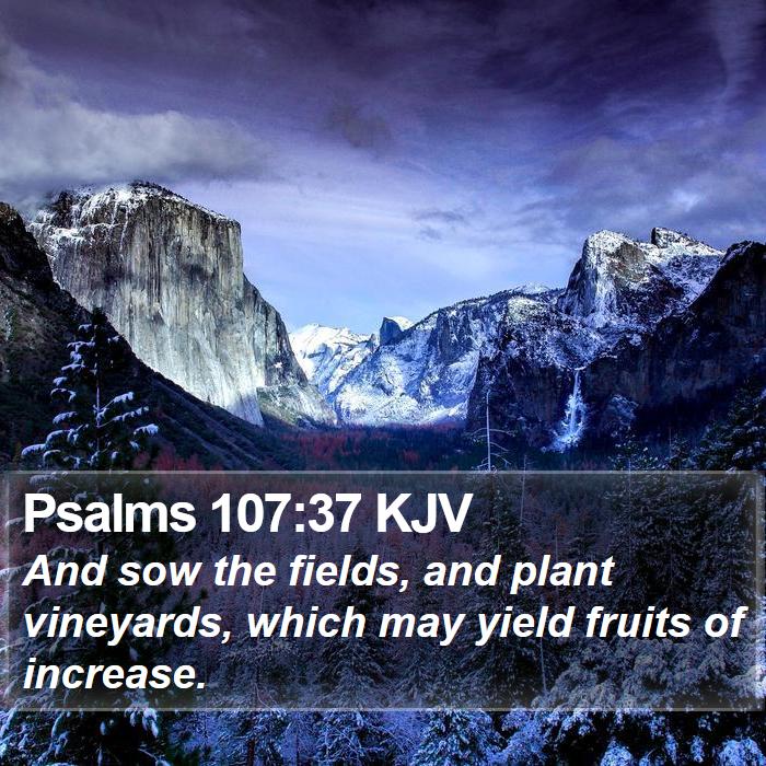 Psalms 107:37 KJV Bible Study