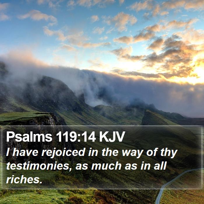 Psalms 119:14 KJV Bible Study