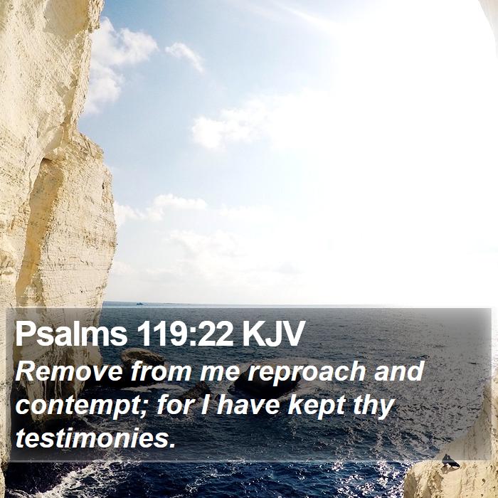 Psalms 119:22 KJV Bible Study