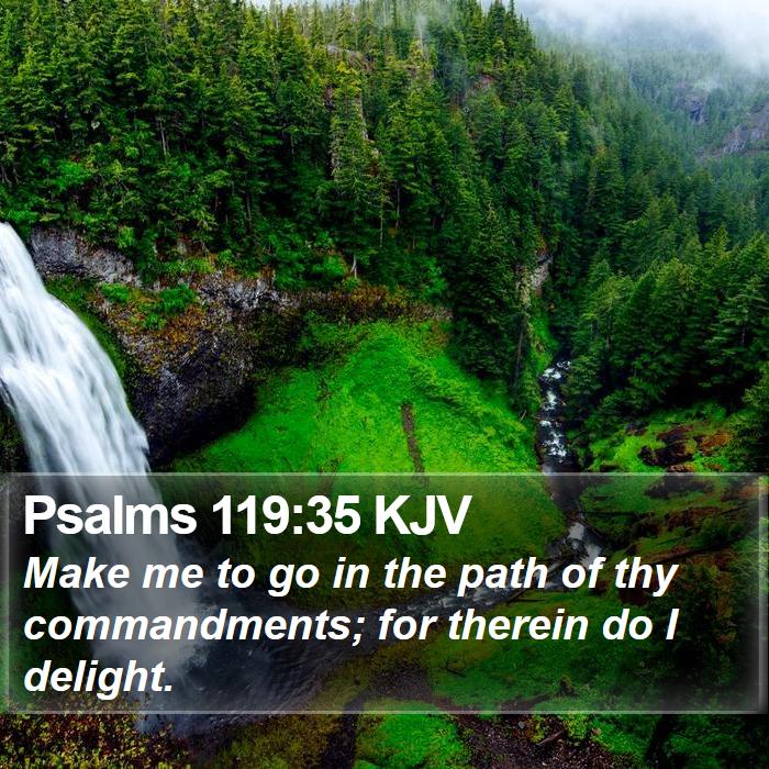 Psalms 119:35 KJV Bible Study