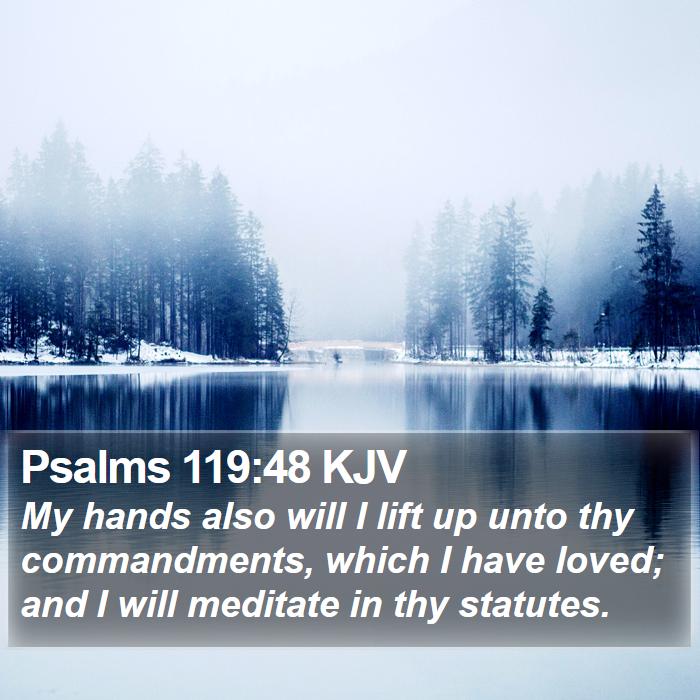 Psalms 119:48 KJV Bible Study